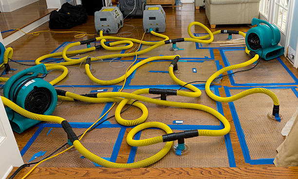 Professional Basement Flood Cleanup technician working in Mascot, TN